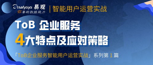 tob企业服务的典型特点及应对策略 免费下载