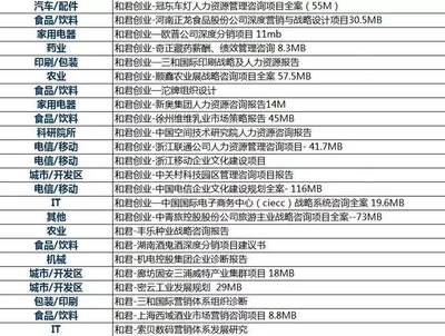 860套经典管理咨询全案助你成为行业大师